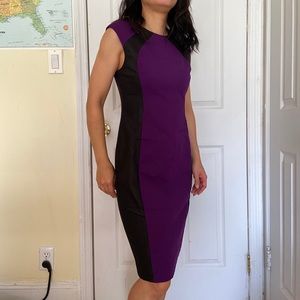 Catherine Malandrino Purple Fitted Sheath Dress S2
